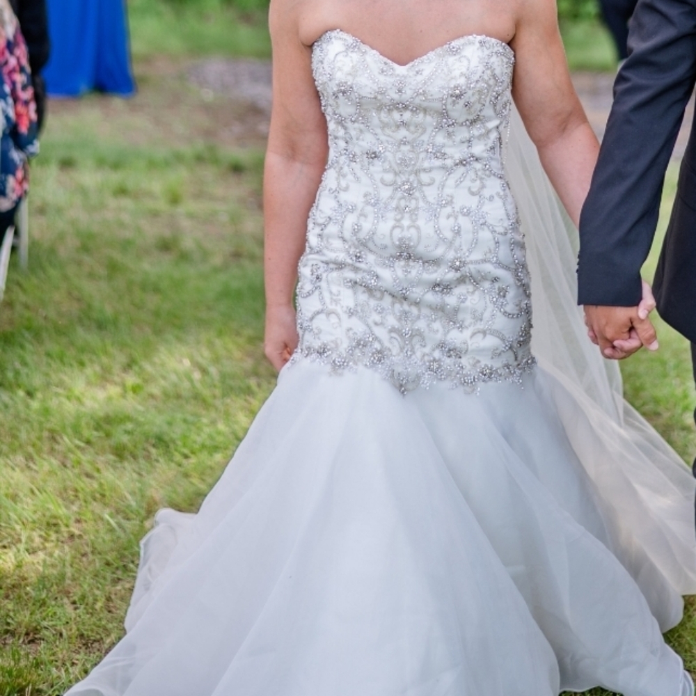 Wedding Dress and Vail - Picture 3 of 3